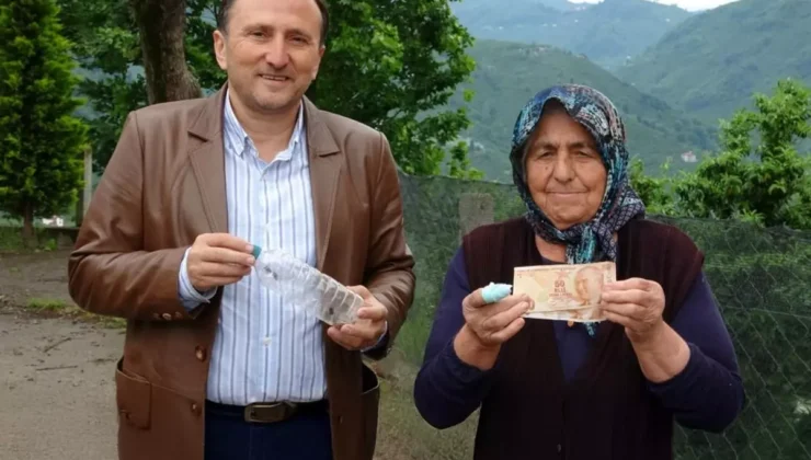 Kahverengi Kokarcayla Mücadelede Örnek Proje