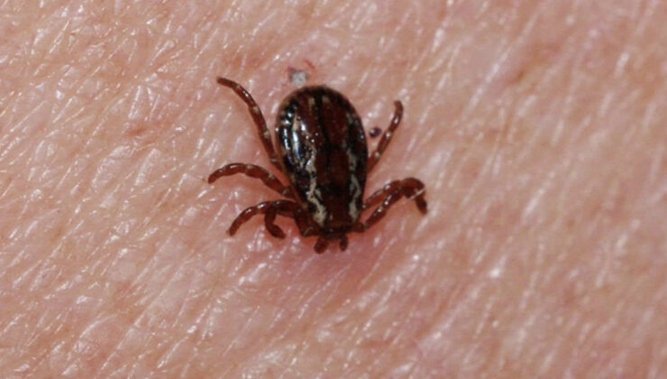 KKKA hastalığında ölüm oranı yüzde 5’in altında