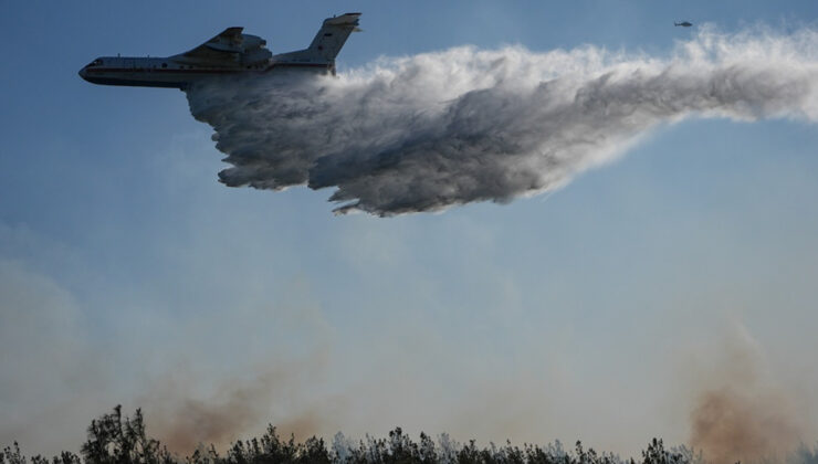 Orman yangınları ile ilgili 11 şüpheli gözaltına alındı