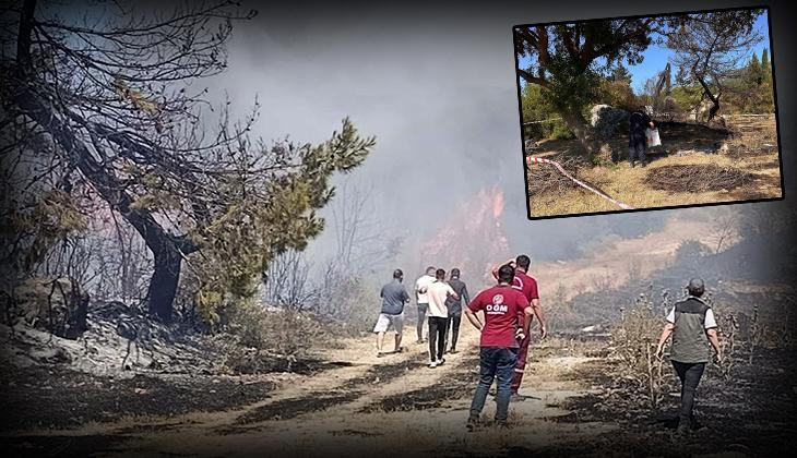 Semaver yakarken ormanı da yaktı! Cezası belli oldu