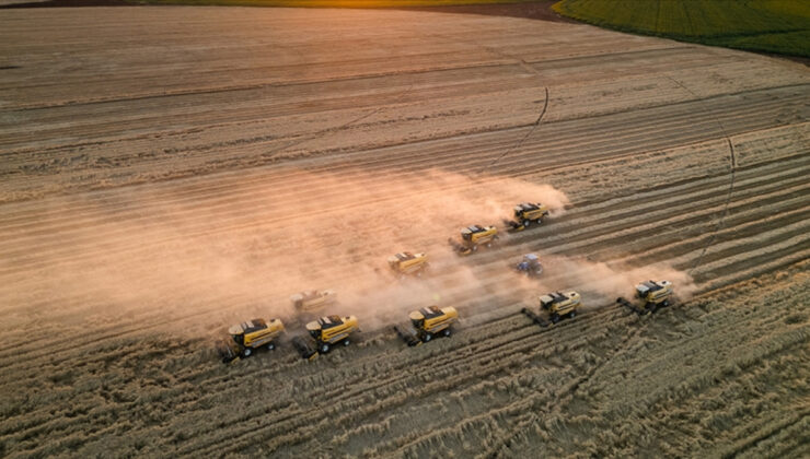 Tarım ÜFE mayısta aylık ve yıllık arttı