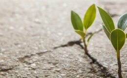 Yaşıyorsak Umut Hep Vardır