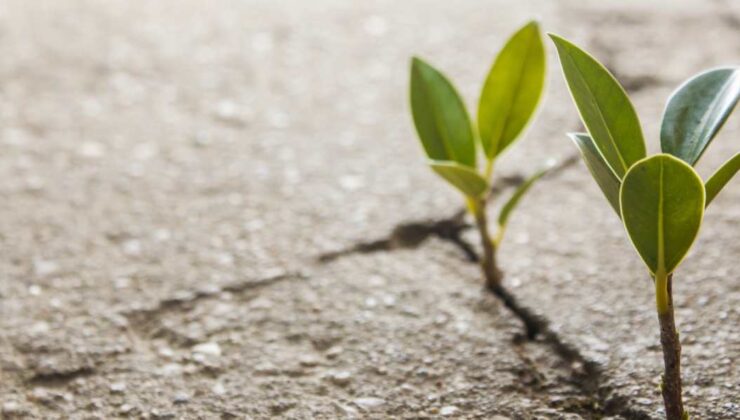 Yaşıyorsak Umut Hep Vardır