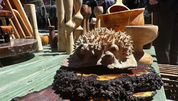 Ağaç Urlarıyla Gelen Servet: Mehmet Gedik Dünya Pazarına Açıldı