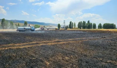 Kelkit’te Arpa Tarlası Yangını Panik Yarattı