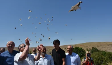 Kelkit’te Doğa İçin Dev Adım: 400 Keklik ve 10 Bin Alabalık Doğaya Bırakıldı!