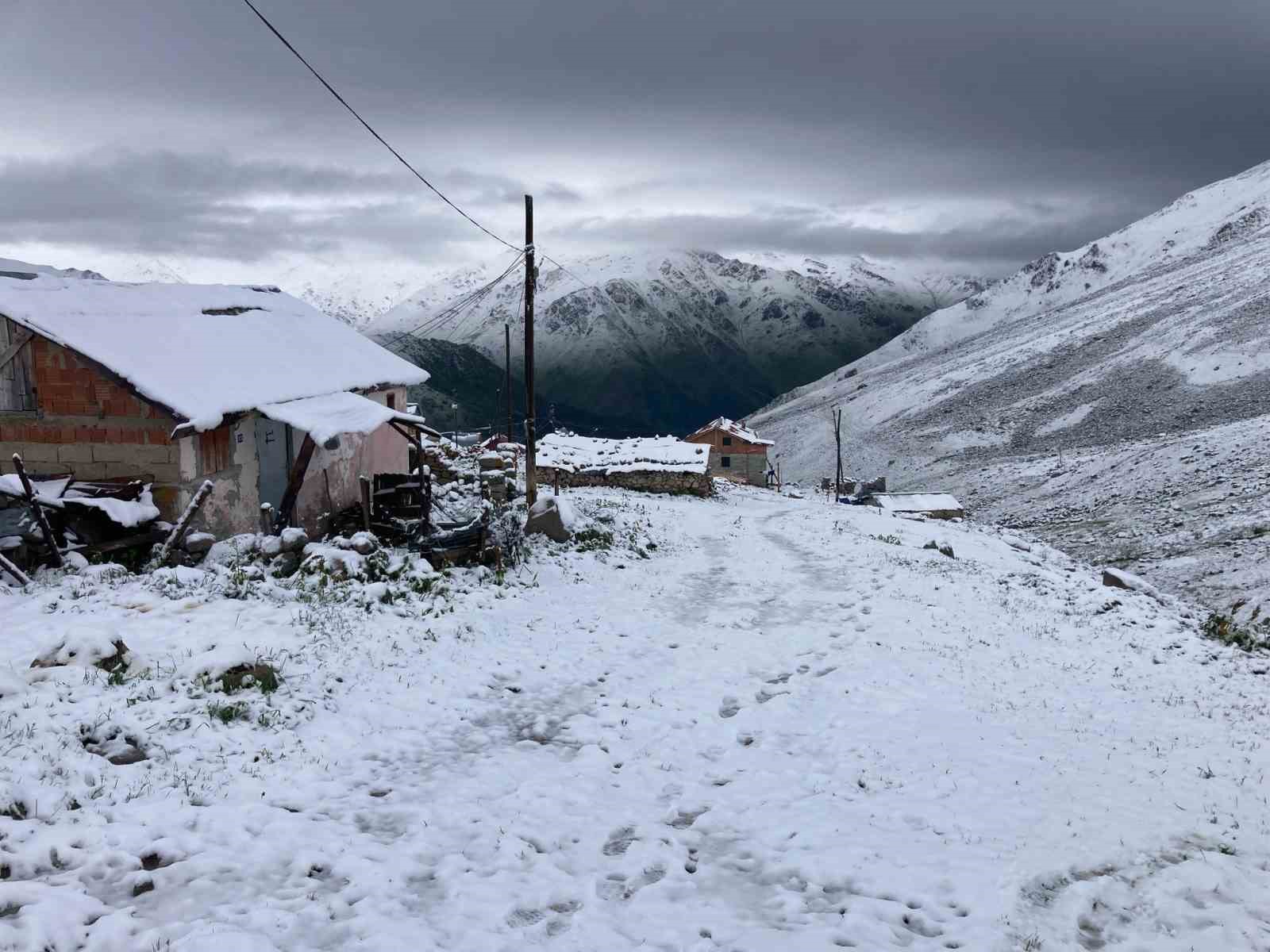 Rize Temmuz Karı

