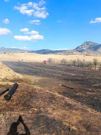  Şebinkarahisar Yangın