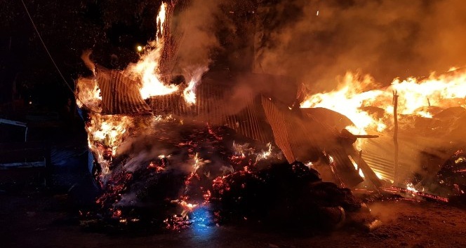 Şebinkarahisar’da Korkutan Ahır Yangını: Hayvanlar Telef Oldu
