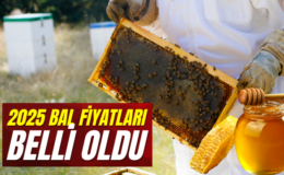 Şebinkarahisar Bal Fiyatları 2025 Açıklandı!