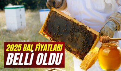 Şebinkarahisar Bal Fiyatları 2025 Açıklandı!