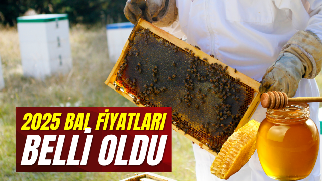 Şebinkarahisar Bal Fiyatları 2025 Açıklandı!
