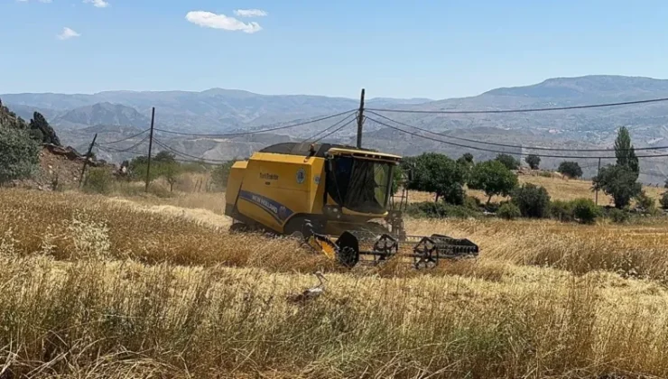 Şebinkarahisar’da Kış Hazırlığı: Çiftçiler Harıl Harıl Çalışıyor