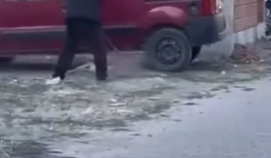 Sivas’ta Yavru Köpeğe Şiddete 71 Bin TL Ceza!