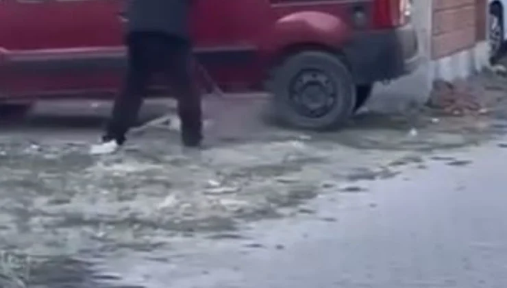 Sivas’ta Yavru Köpeğe Şiddete 71 Bin TL Ceza!