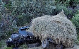 Giresun’da Korkutan Kaza: 1 Kişi Ağır Yaralı