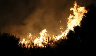 Akdeniz ülkelerinde aşırı sıcaklar orman yangını riskini zirveye taşıdı