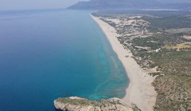 Akdeniz’de deniz suyu sıcaklığı arttı, zehirli balıklar geldi