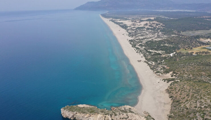 Akdeniz’de deniz suyu sıcaklığı arttı, zehirli balıklar geldi