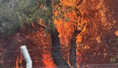 Antalya’da 4 orman yangını kontrol altında, 2’sine müdahale sürüyor