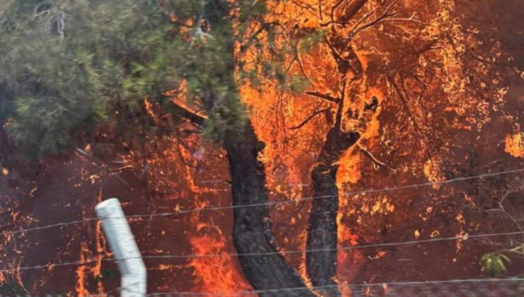 Antalya’da 4 orman yangını kontrol altında, 2’sine müdahale sürüyor