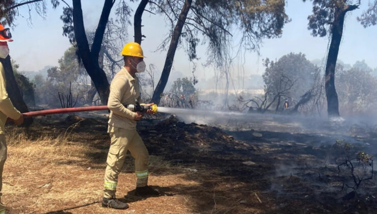 Antalya’daki orman yangını kontrol altında