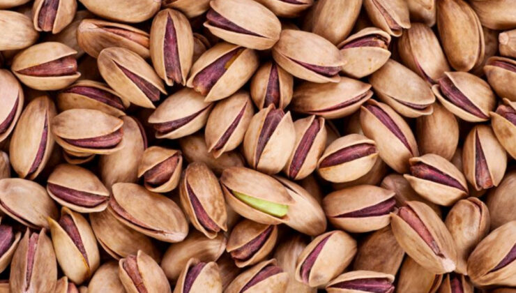 Antep fıstığı kabuklarını çöpe değil saksıya atın, haşere derdinden kurtulun…