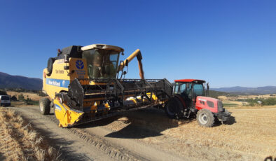 Bolu’da yangına karşı köylüler tarlada yangın tüpleriyle nöbette