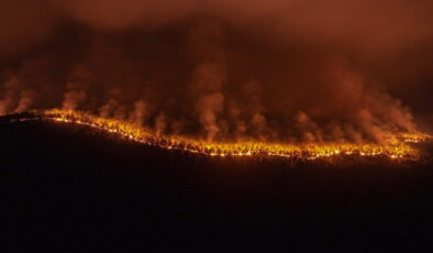 Bursa Harmancık’taki orman yangınına etkin müdahale sürüyor