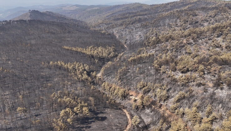 Bursa Orhaneli-Harmancık hattındaki yangına müdahale ediliyor