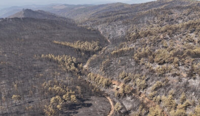 Bursa’da 10 bin futbol sahası kadar orman kül oldu