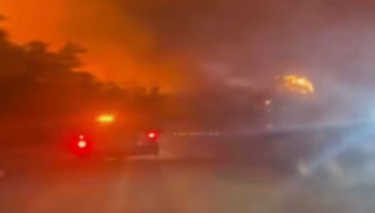 Bursa’da orman yangını: Ekipler alevlerin içinden geçti