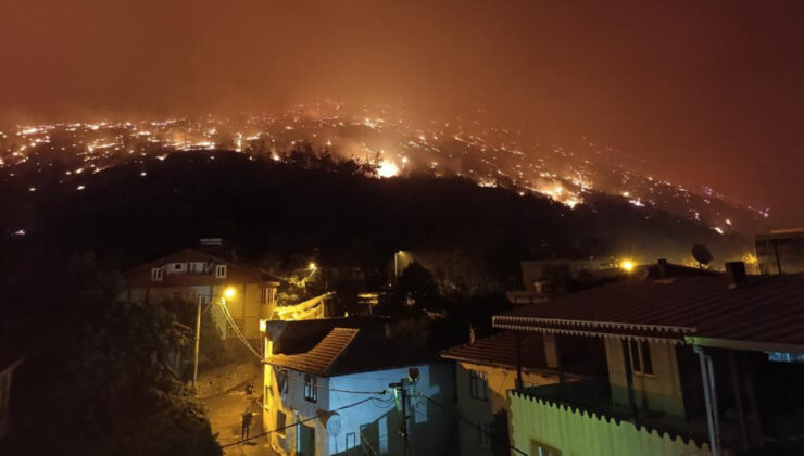 Bursa’da orman yangını yerleşim yerlerine sıçradı
