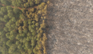 Bursa’daki orman yangını 4. gününde sürerken, yanan alanlar havadan görüntülendi