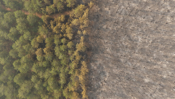 Bursa’daki orman yangını 4. gününde sürerken, yanan alanlar havadan görüntülendi
