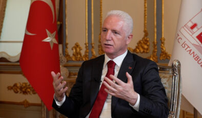 Davut Gül: Sahipsiz sokak hayvanları 2025 yılı sonunda gündemden çıkacak