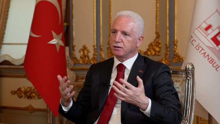 Davut Gül: Sahipsiz sokak hayvanları 2025 yılı sonunda gündemden çıkacak