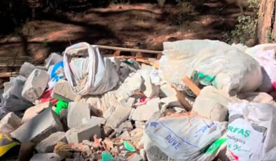 Doğa Rutkay’ın eşi isyan etti: Bu orman yangınları neden mi çıkıyor?