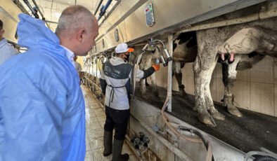 Elazığ’da geliştirilen cihazla süt sığırlarında mastitisin önüne geçiliyor