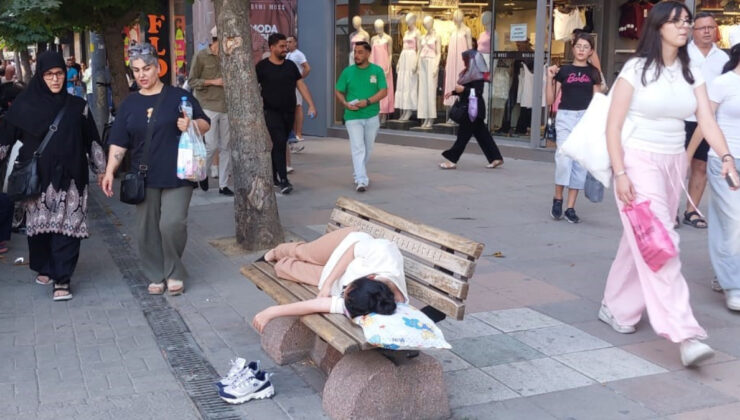 Eskişehir’de Sıcağın Getirdiği “Tatlı” Uyku