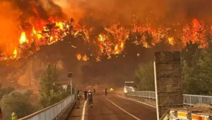Eskişehir’deki orman yangınında şehit düşen personellerin kimlikleri belli oldu