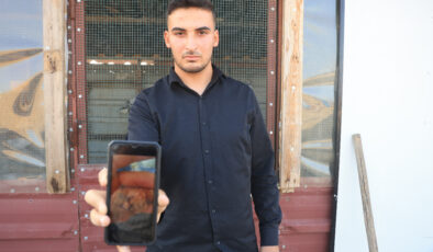 Hatay’da 4 ayaklı olarak yumurtadan çıkan güvercin yavrusu 2 gün yaşayabildi