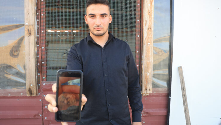 Hatay’da 4 ayaklı olarak yumurtadan çıkan güvercin yavrusu 2 gün yaşayabildi