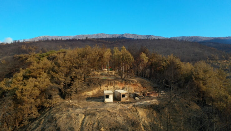 Hatay’da yanan alanlar görüntülendi