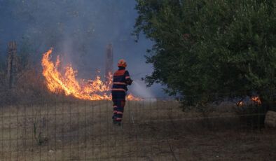 İtalya’nın Sicilya Adası’nda orman yangınlarıyla mücadele