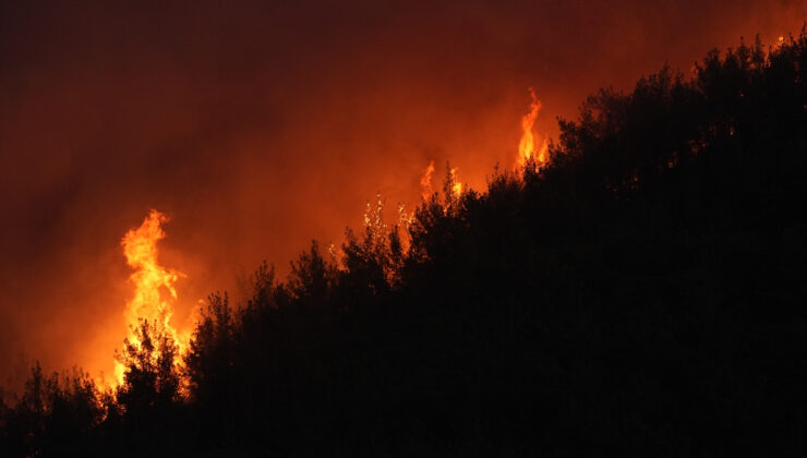 İzmir Ödemiş’te bir orman işçisi şehit oldu