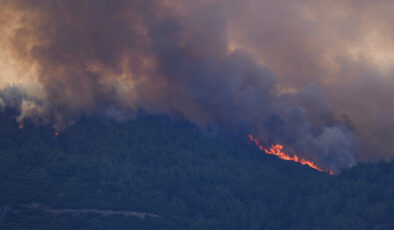 İzmir’de 4 ilçede orman yangınlarıyla mücadele