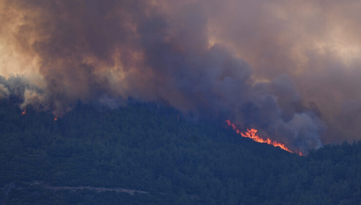 İzmir’de 4 ilçede orman yangınlarıyla mücadele