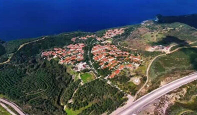 İzmir’de çıkan yangınlar sonrası yürek burkan kareler