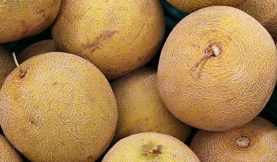 Kavun alırken dikkat! Kabuğundaki bu işaret bakteri olduğunu gösteriyormuş